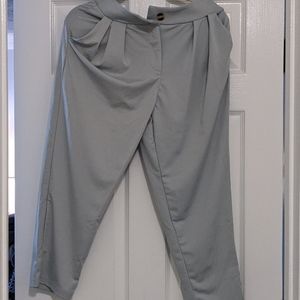 Ankle length dress pants